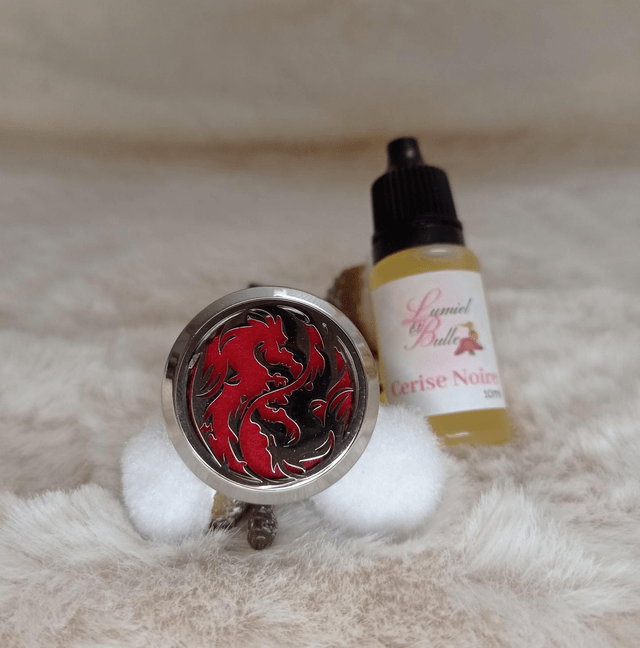 Clip dragon 